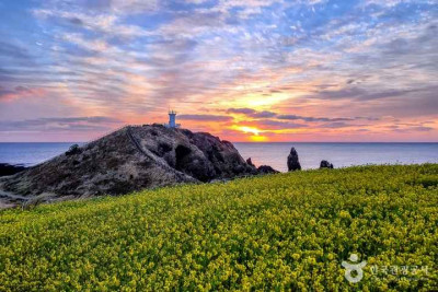 South Korea tour Packages